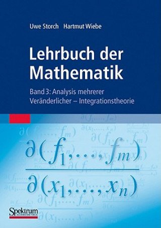 Analysis mehrerer Veränderlicher - Integrationstheorie