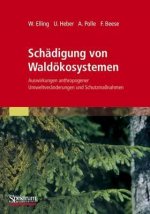 Schadigung Von Waldoekosystemen