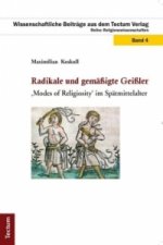 Radikale und gemäßigte Geißler