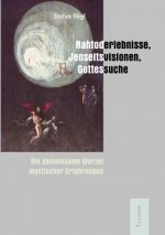 Nahtoderlebnisse, Jenseitsvisionen, Gottessuche