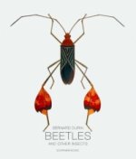 Bugs and Other Insects