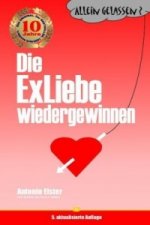 Allein gelassen? Die ExLiebe wiedergewinnen