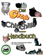 grosse Chinchilla-Handbuch