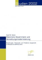 Electronic Government und Verwaltungsmodernisierung