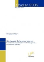Schulgewalt, Bullying und Internet