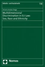 Multidimensional Discrimination in EU Law: Sex, Race and Ethnicity