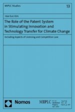 The Role of the Patent System in Stimulating Innovation and Technology Transfer for Climate Change