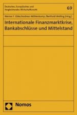Internationale Finanzmarktkrise, Bankabschlüsse und Mittelstand