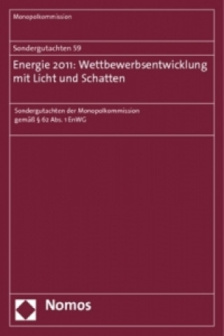 Energie 2011: Wettbewerbsentwicklung mit Licht und Schatten