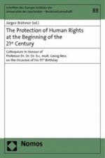 The Protection of Human Rights at the Beginning of the 21st Century