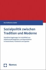Sozialpolitik zwischen Tradition und Moderne