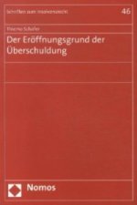 Der Eröffnungsgrund der Überschuldung