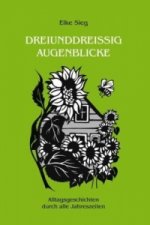 Dreiunddreissig Augenblicke