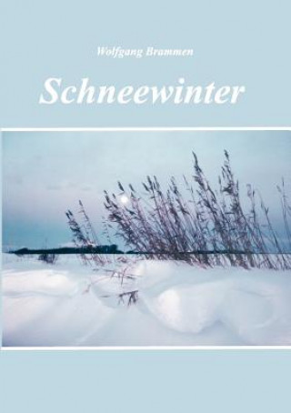 Schneewinter