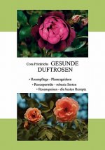 Gesunde Duftrosen