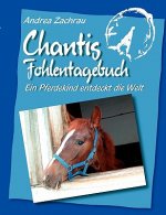 Chantis Fohlentagebuch