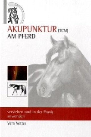Akupunktur ( TCM ) Am Pferd