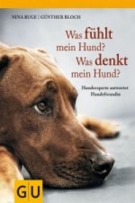 Was fühlt mein Hund? Was denkt mein Hund?