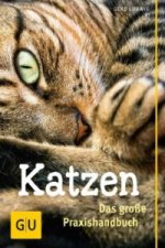 Katzen - Das große Praxishandbuch