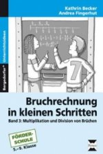 Bruchrechnung in kleinen Schritten. Bd.3