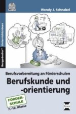 Berufskunde und -orientierung, m. 1 CD-ROM