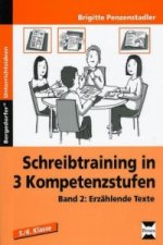 Schreibtraining in 3 Kompetenzstufen. Bd.2