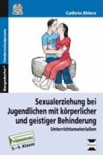 Sexualerziehung bei Jugendlichen, m. 1 CD-ROM