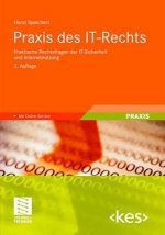 Praxis Des It-Rechts
