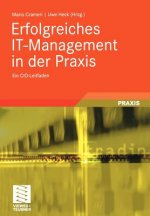 Erfolgreiches It-Management in Der Praxis
