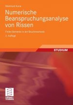 Numerische Beanspruchungsanalyse Von Rissen