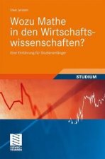 Wozu Mathe in den Wirtschaftswissenschaften?