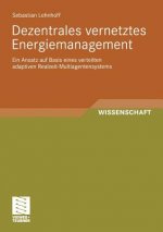 Dezentrales Vernetztes Energiemanagement