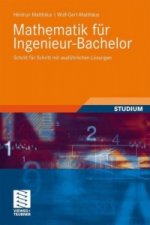 Mathematik fur Ingenieur-Bachelor