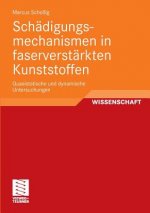 Schadigungsmechanismen in Faserverstarkten Kunststoffen