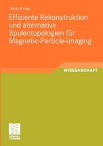 Effiziente Rekonstruktion Und Alternative Spulentopologien F r Magnetic-Particle-Imaging