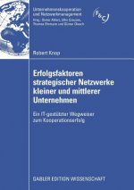 Erfolgsfaktoren Strategischer Netzwerke Kleiner Und Mittlerer Unternehmen