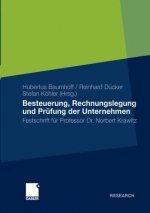 Besteuerung, Rechnungslegung Und Prufung Der Unternehmen