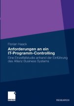 Anforderungen an Ein It-Programm-Controlling