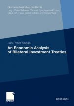 Economic Analysis of Bilateral Investment Treaties