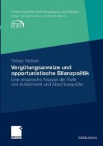 Vergutungsanreize Und Opportunistische Bilanzpolitik