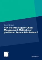 Von welchen Supply-Chain-Management-Massnahmen profitieren Automobilzulieferer?