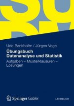 bungsbuch Datenanalyse Und Statistik