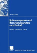 Risikomanagement- Und UEberwachungssystem Nach Kontrag