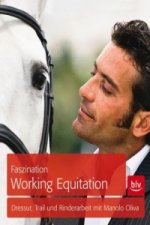 Faszination Working Equitation