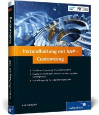 Instandhaltung mit SAP - Customizing