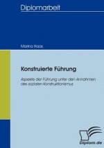 Konstruierte Fuhrung