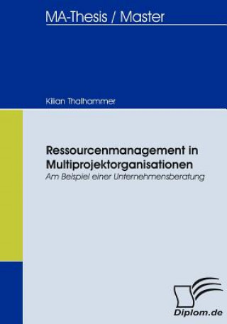 Ressourcenmanagement in Multiprojektorganisationen