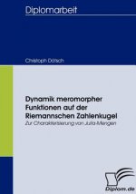 Dynamik meromorpher Funktionen auf der Riemannschen Zahlenkugel