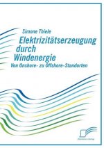 Elektrizitatserzeugung durch Windenergie