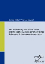 Bedeutung des SEPA fur den elektronischen Zahlungsverkehr eines Lebensversicherungsunternehmens